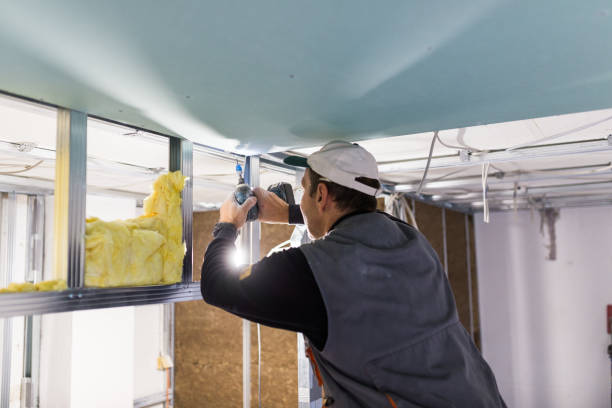 Best Spray Foam Insulation in Delhi, LA
