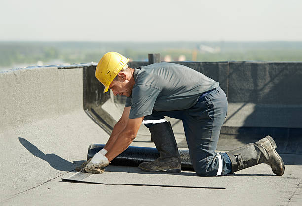 Best Eco-Friendly Insulation in Delhi, LA