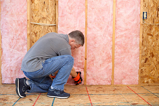 Best Fiberglass Insulation in Delhi, LA