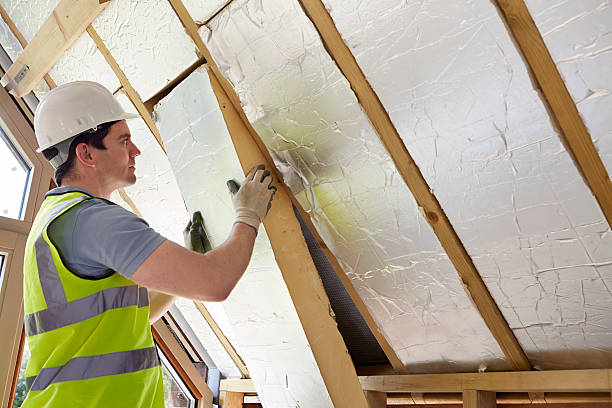 Best Geographic-Specific Insulation Services in Delhi, LA