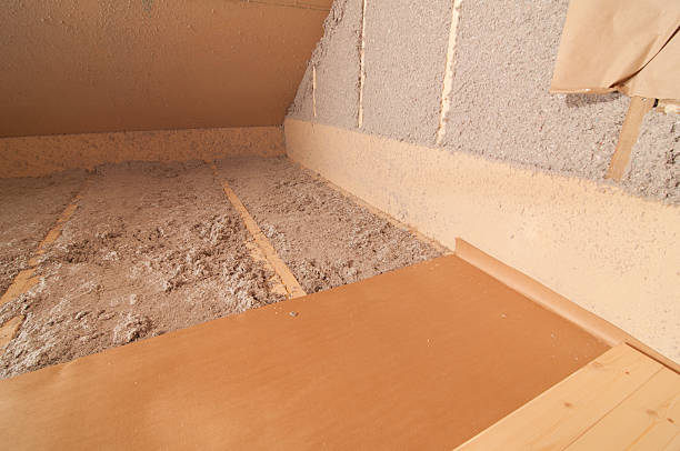 Best Residential Insulation in Delhi, LA