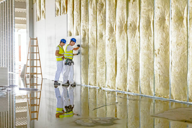 Trusted Delhi, LA Insulation Contractor Experts
